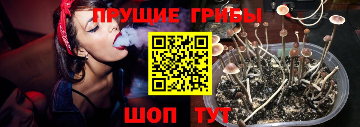 Псилоцибиновые грибы прущие грибы  Вход с VPN  где купить наркотик  Мариинск 